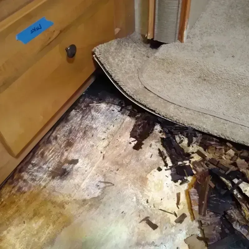 Best Wood Floor Water Damage Service in Keokuk County, IA